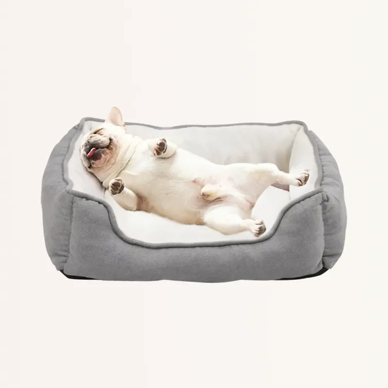 Luxuries Dog Bed