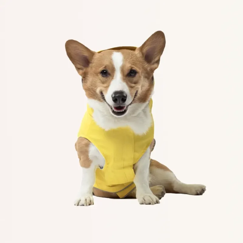 Dog Jacket Yellow